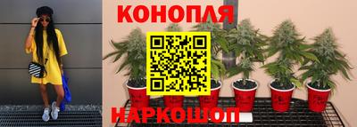 МДМА Кингисепп