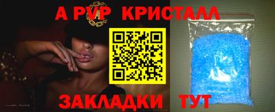 крисы Кимры