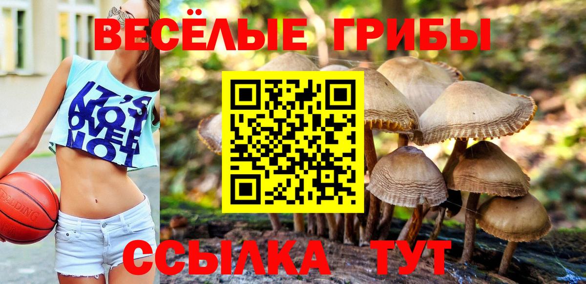 Галлюциногенные грибы GOLDEN TEACHER Кимры